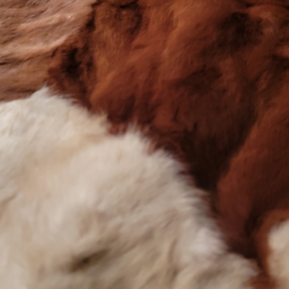 BEAUTIFUL ROUND SHAPE ALPACA PATTERN RUG 53" - Picture 9 of 12